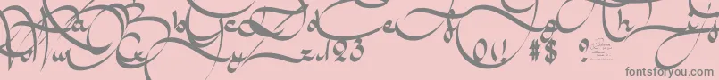AmalScriptBold-fontti – harmaat kirjasimet vaaleanpunaisella taustalla