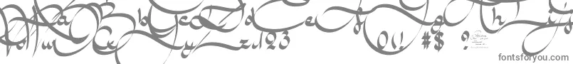 フォントAmalScriptBold – 白い背景に灰色の文字