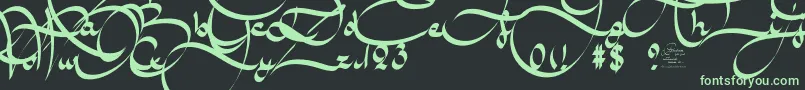 Шрифт AmalScriptBold – зелёные шрифты на чёрном фоне