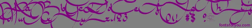 Шрифт AmalScriptBold – фиолетовые шрифты на сером фоне
