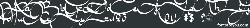 AmalScriptBold Font – White Fonts on Black Background