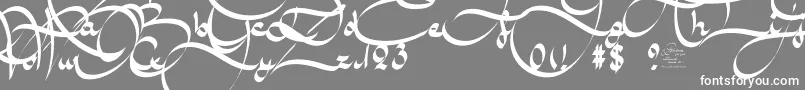 フォントAmalScriptBold – 灰色の背景に白い文字