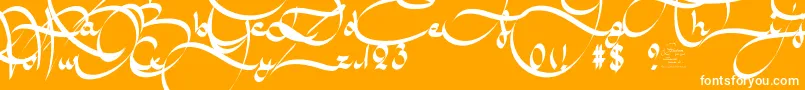 AmalScriptBold-fontti – valkoiset fontit oranssilla taustalla