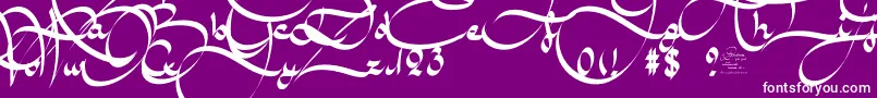 AmalScriptBold-fontti – valkoiset fontit violetilla taustalla