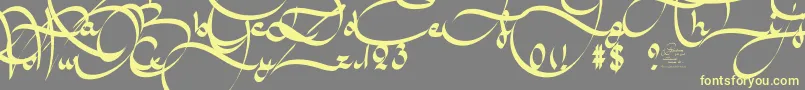 AmalScriptBold-Schriftart – Gelbe Schriften auf grauem Hintergrund