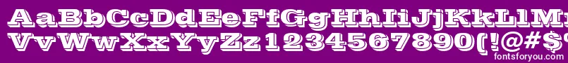 VinetaBt Font – White Fonts on Purple Background