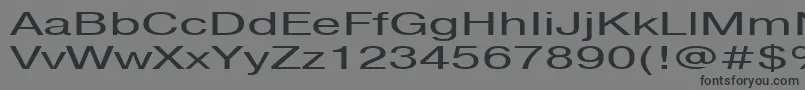 Pragmaticactt160n-Schriftart – Schwarze Schriften auf grauem Hintergrund
