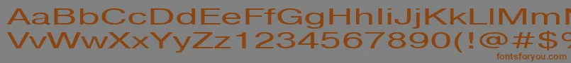 Fonte Pragmaticactt160n – fontes marrons em um fundo cinza