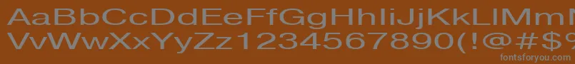 フォントPragmaticactt160n – 茶色の背景に灰色の文字