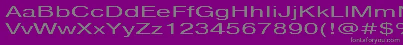 Pragmaticactt160n-Schriftart – Graue Schriften auf violettem Hintergrund