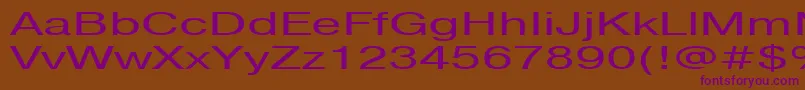 Pragmaticactt160n Font – Purple Fonts on Brown Background
