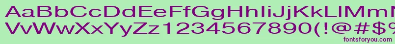 Pragmaticactt160n Font – Purple Fonts on Green Background