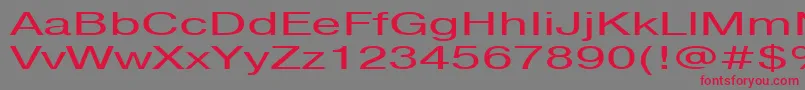 fuente Pragmaticactt160n – Fuentes Rojas Sobre Fondo Gris