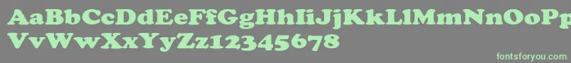 CooperextHeavy Font – Green Fonts on Gray Background