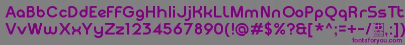 MeltixBoldDemo Font – Purple Fonts on Gray Background
