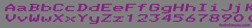 フォントTelidonExhvItalic – 紫色のフォント、灰色の背景