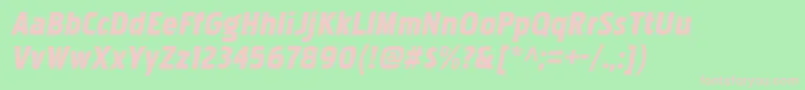 PakenhamblItalic Font – Pink Fonts on Green Background