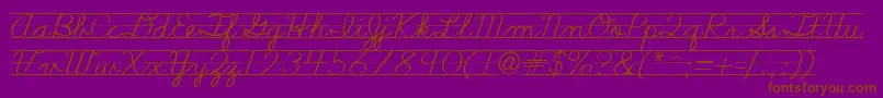 Nealcurieruledsh Font – Brown Fonts on Purple Background