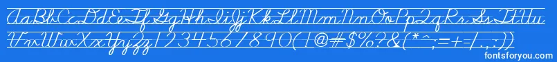 Nealcurieruledsh Font – White Fonts on Blue Background