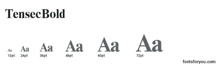 TensecBold Font Sizes
