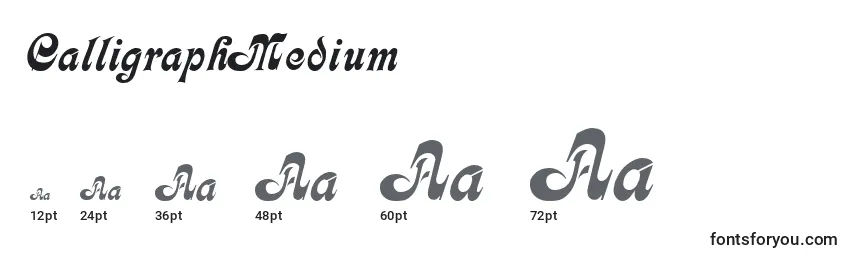 Größen der Schriftart CalligraphMedium