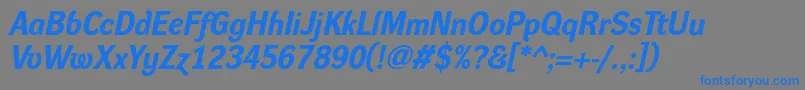 DynagroteskrBolditalic Font – Blue Fonts on Gray Background