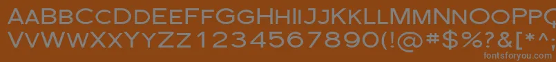 Sfflorencesansscexp Font – Gray Fonts on Brown Background