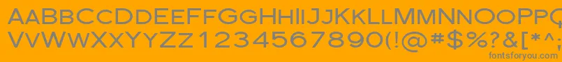 Sfflorencesansscexp Font – Gray Fonts on Orange Background
