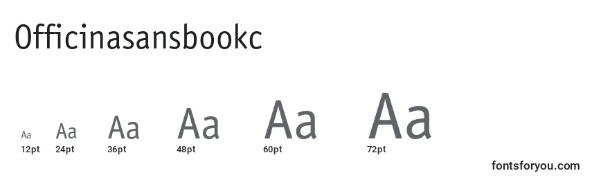 Размеры шрифта Officinasansbookc