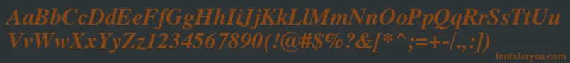 Dutch801BoldItalicSwa Font – Brown Fonts on Black Background
