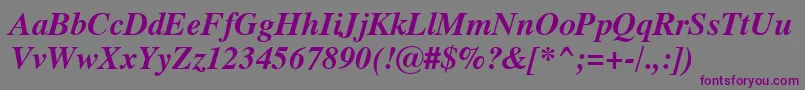 Dutch801BoldItalicSwa Font – Purple Fonts on Gray Background