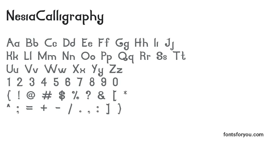Czcionka NesiaCalligraphy – alfabet, cyfry, specjalne znaki