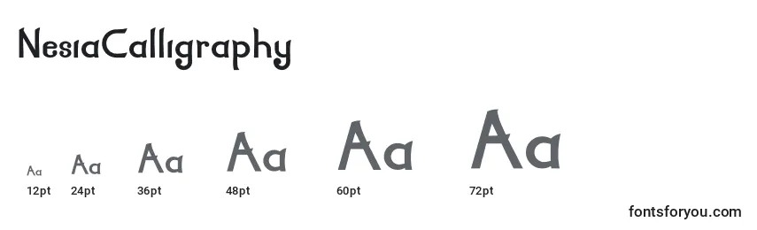 NesiaCalligraphy Font Sizes