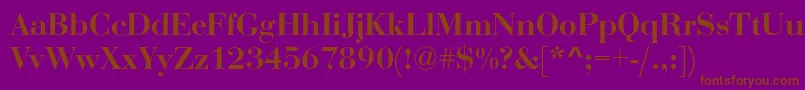 RothniBold Font – Brown Fonts on Purple Background