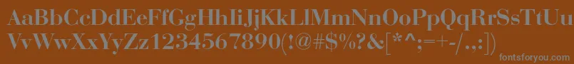 フォントRothniBold – 茶色の背景に灰色の文字