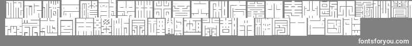 Kakuji1 Font – White Fonts on Gray Background