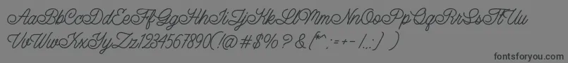 LazyRidePersonalUse Font – Black Fonts on Gray Background