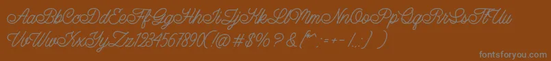 Шрифт LazyRidePersonalUse – серые шрифты на коричневом фоне