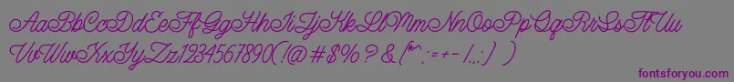 Шрифт LazyRidePersonalUse – фиолетовые шрифты на сером фоне