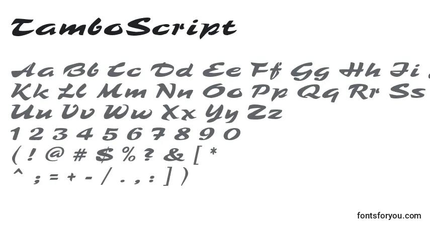Schriftart TamboScript – Alphabet, Zahlen, spezielle Symbole
