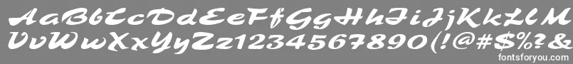 TamboScript Font – White Fonts on Gray Background