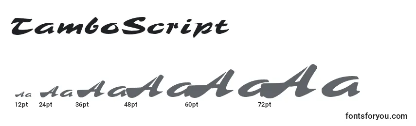 TamboScript Font Sizes