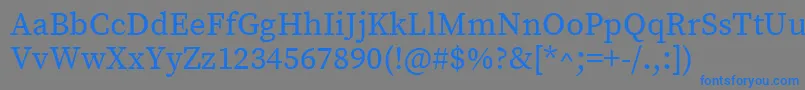 フォントSourceserifproRegular – 灰色の背景に青い文字
