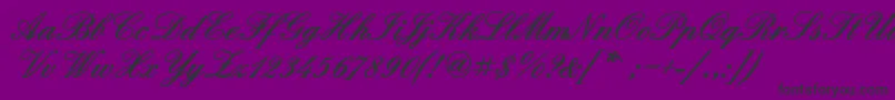 QuadrillescriptblacksskBold Font – Black Fonts on Purple Background