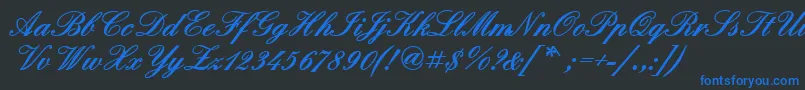 QuadrillescriptblacksskBold Font – Blue Fonts on Black Background