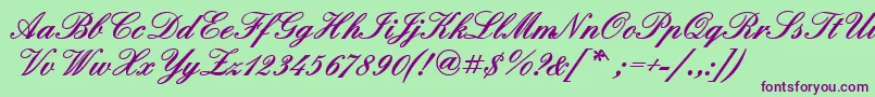 QuadrillescriptblacksskBold Font – Purple Fonts on Green Background