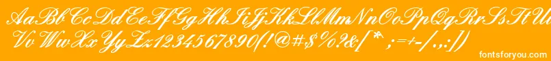 QuadrillescriptblacksskBold-Schriftart – Weiße Schriften auf orangefarbenem Hintergrund