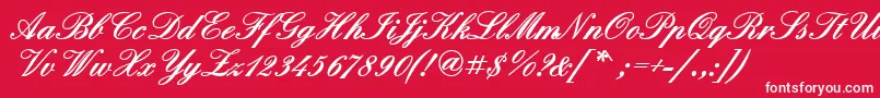 QuadrillescriptblacksskBold Font – White Fonts on Red Background