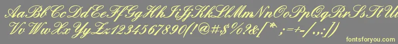 QuadrillescriptblacksskBold Font – Yellow Fonts on Gray Background