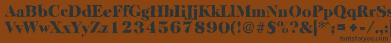 BaskervillerandomBlackRegular Font – Black Fonts on Brown Background